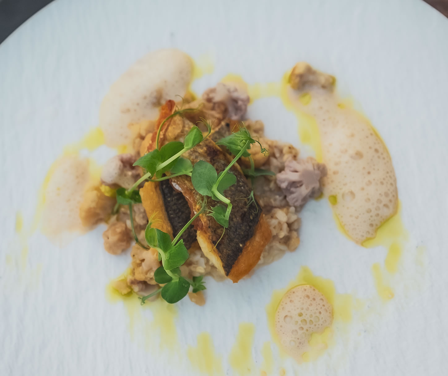 Fischfilet auf Eblyreis mit Karfiol